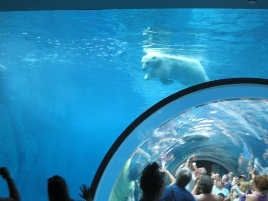 Assiniboine Park Hayvanat Bahçesi